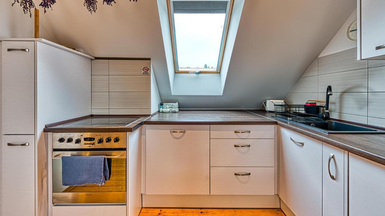 Izerska Baza - Basen, Ebike, Narty, Sauna, Jacuzzi, Las Blisko Swieradow Zdroj - 5D Apartamenty Giebultow  外观 照片