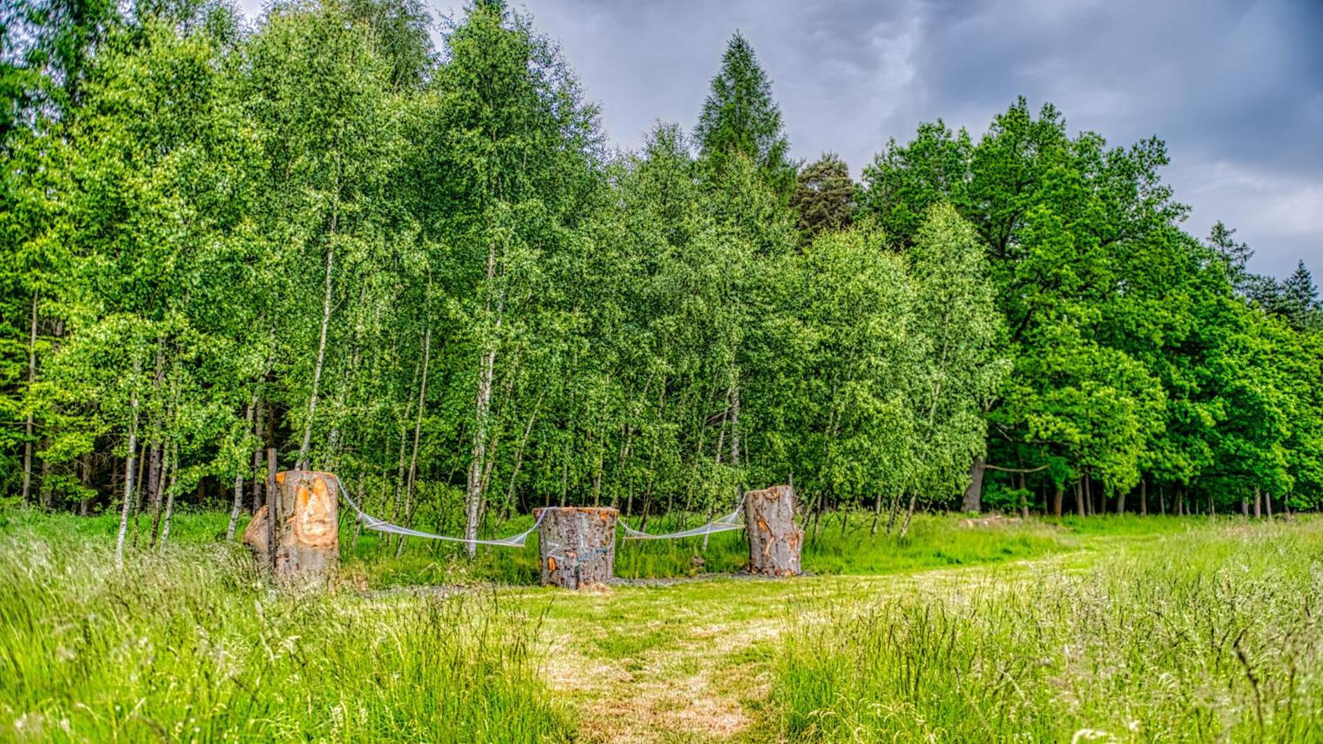 Izerska Baza - Basen, Ebike, Narty, Sauna, Jacuzzi, Las Blisko Swieradow Zdroj - 5D Apartamenty Giebultow  外观 照片